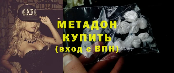 прущие грибы Карпинск