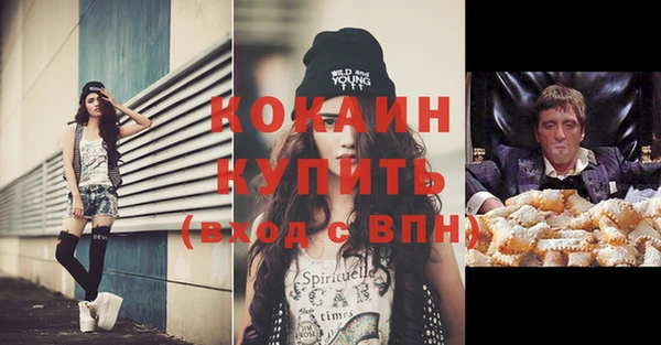 прущие грибы Карпинск