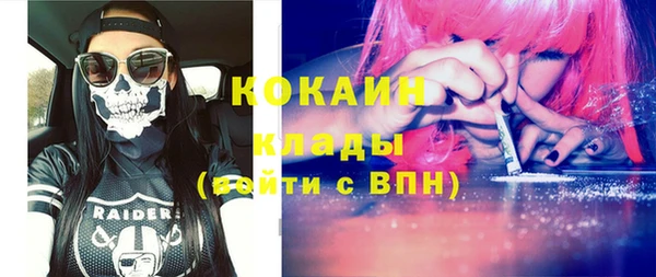 прущие грибы Карпинск