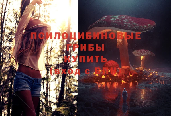 прущие грибы Карпинск